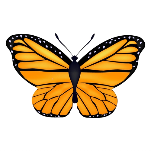 Butterfly Theme Bright Orange And Black Butterfly Transparent Sticker